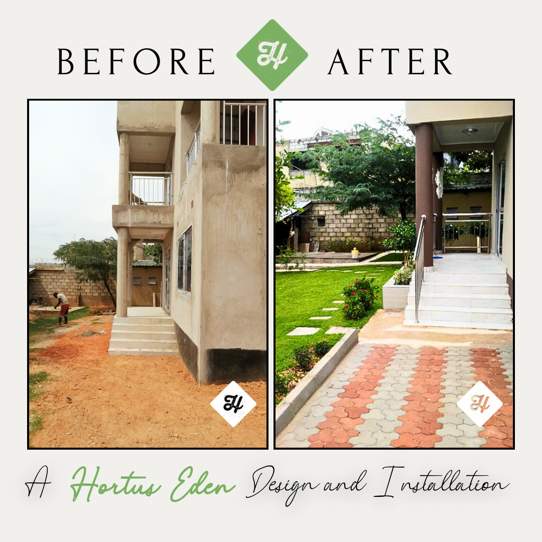 Lawn Before & After Maintenance